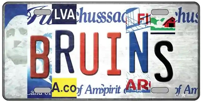 Bruins Folk Art Style License Plate Sign