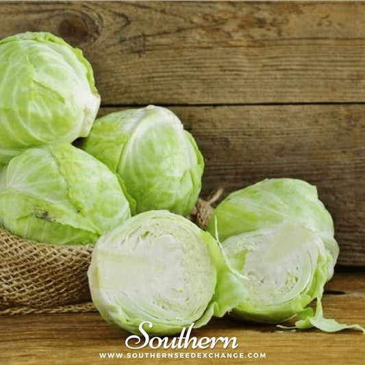 Green cabbages on a wooden surface with 'Southern' branding.