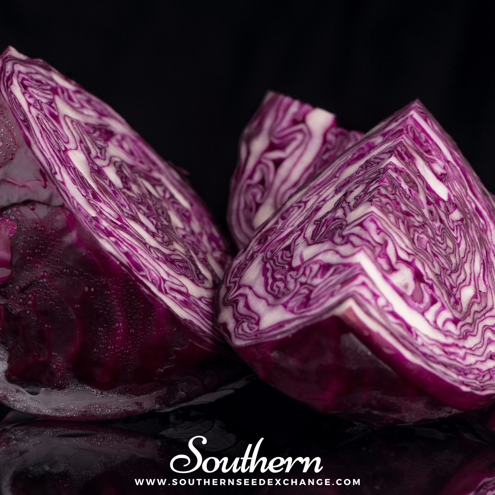 Sliced purple cabbage on a dark background with 'Southern' branding.