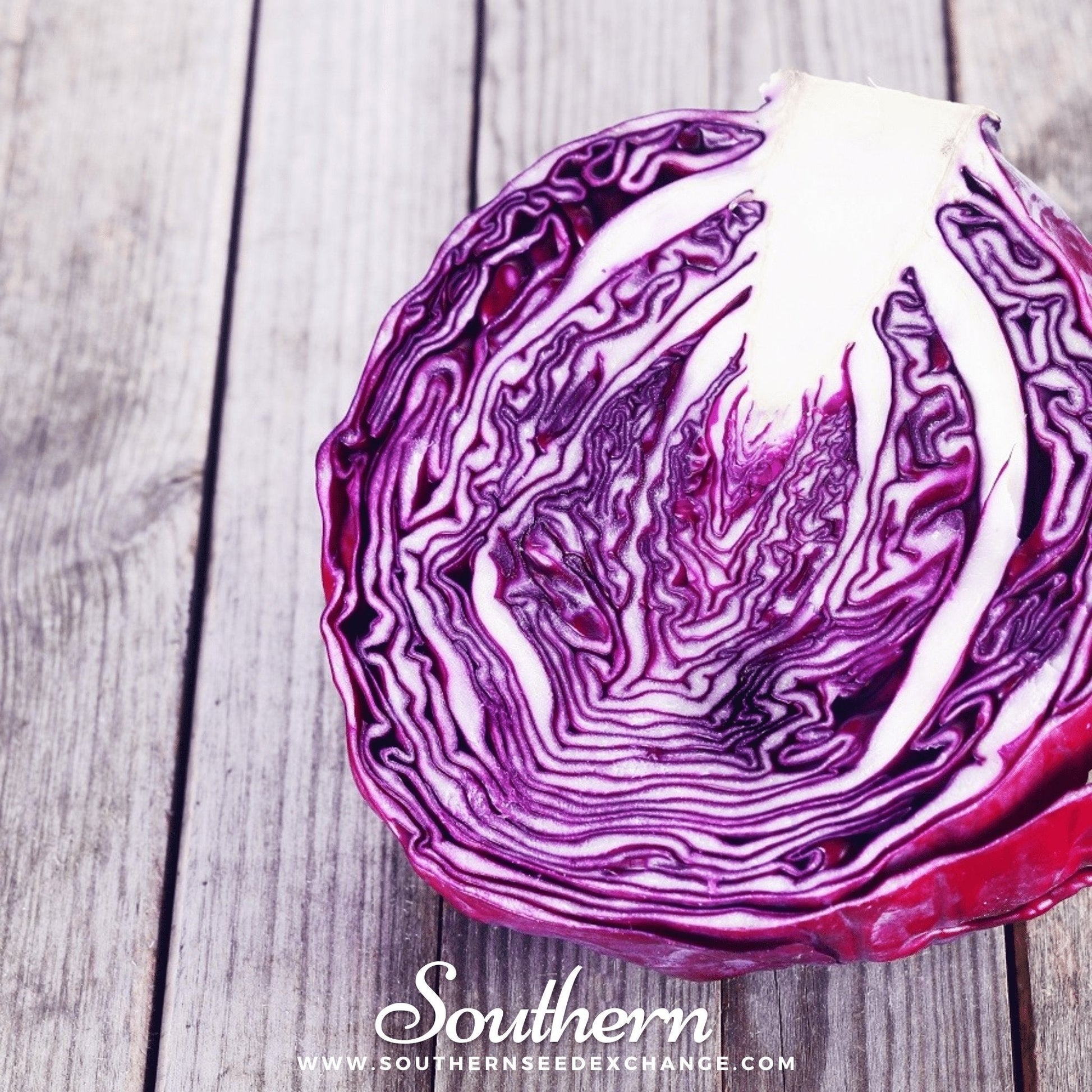 Sliced red cabbage on a wooden surface with 'Southern' branding.
