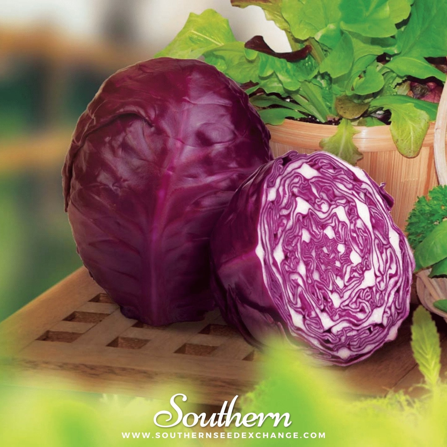 Two purple cabbages on a wooden surface with a blurred garden background, featuring the brand 'Southern'.