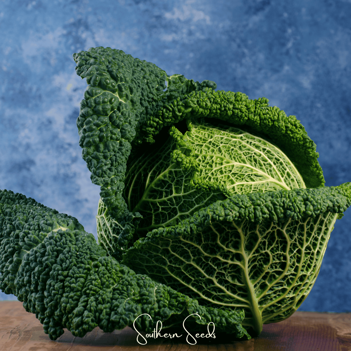 Savoy Cabbage – 100 Seeds