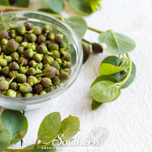 Glass bowl filled with green capers on a white surface with 'Southern' branding.
