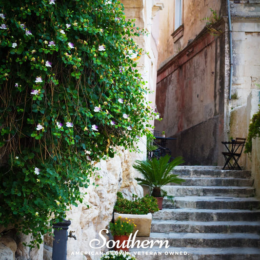 Stairway with plants and a building in the background, featuring the 'Southern' brand.