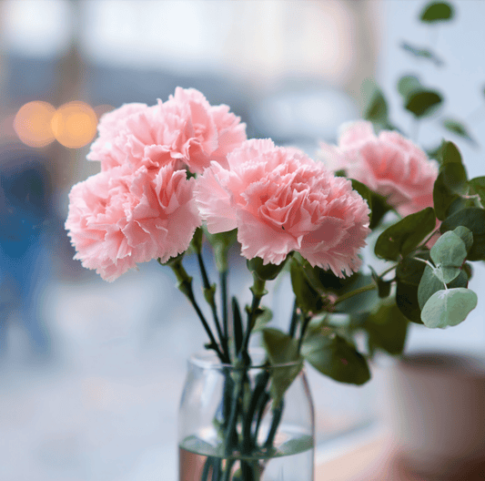 Pink carnations in a clear vase with a blurred background