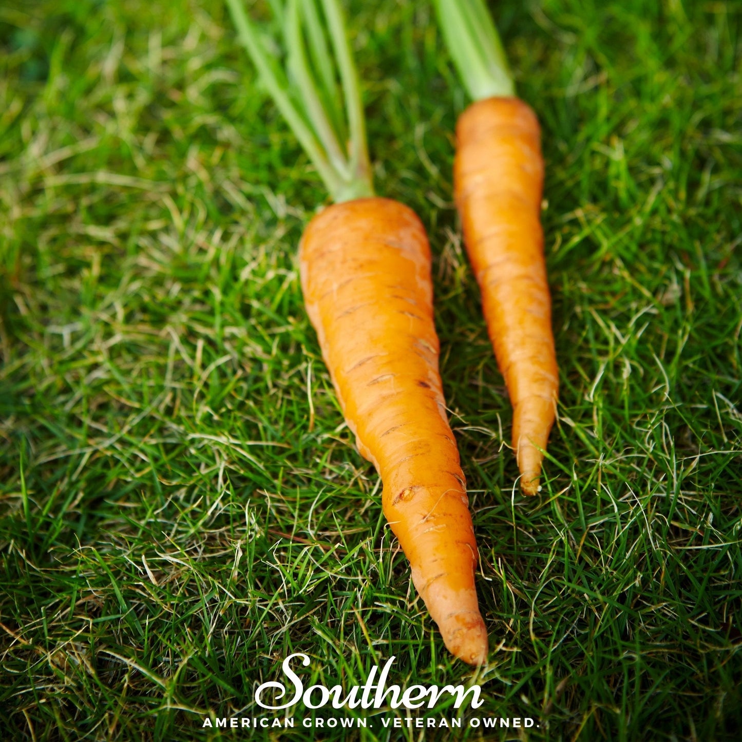 Two carrots on grass with 'Southern' brand logo.