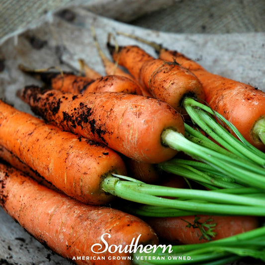 Bunch of fresh carrots with green tops on a rustic background, featuring the 'Southern' brand.