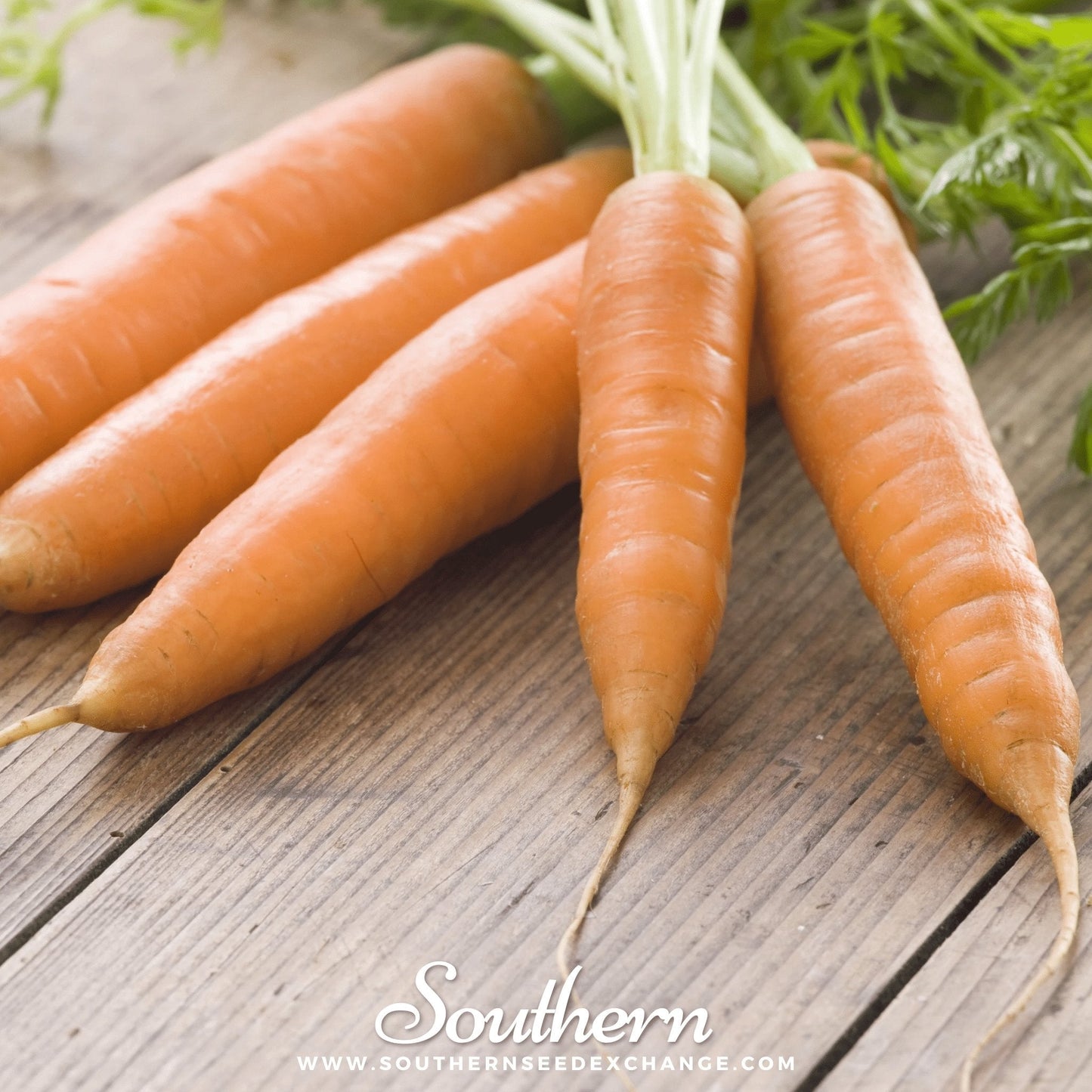 Bunch of carrots on a wooden surface with 'Southern' branding.