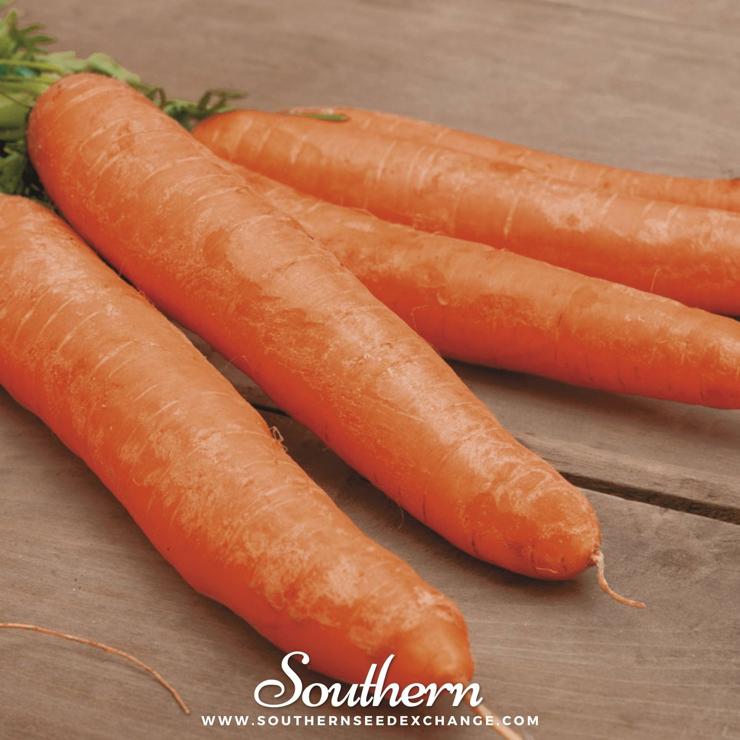 Carrots on a wooden surface with 'Southern' branding.