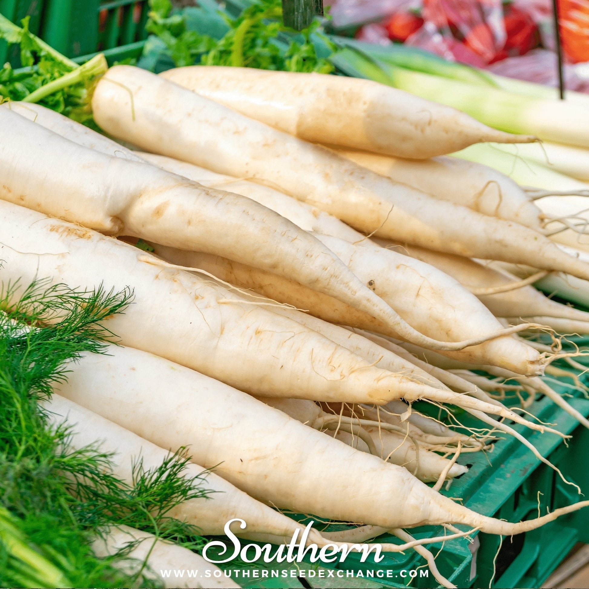 White carrots with green tops on a green background, branded 'Southern Seed Exchange'.