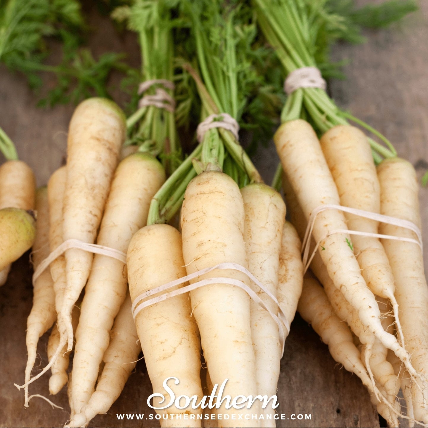 Bunch of white carrots with green tops tied together on a wooden surface, branded 'Southern'.