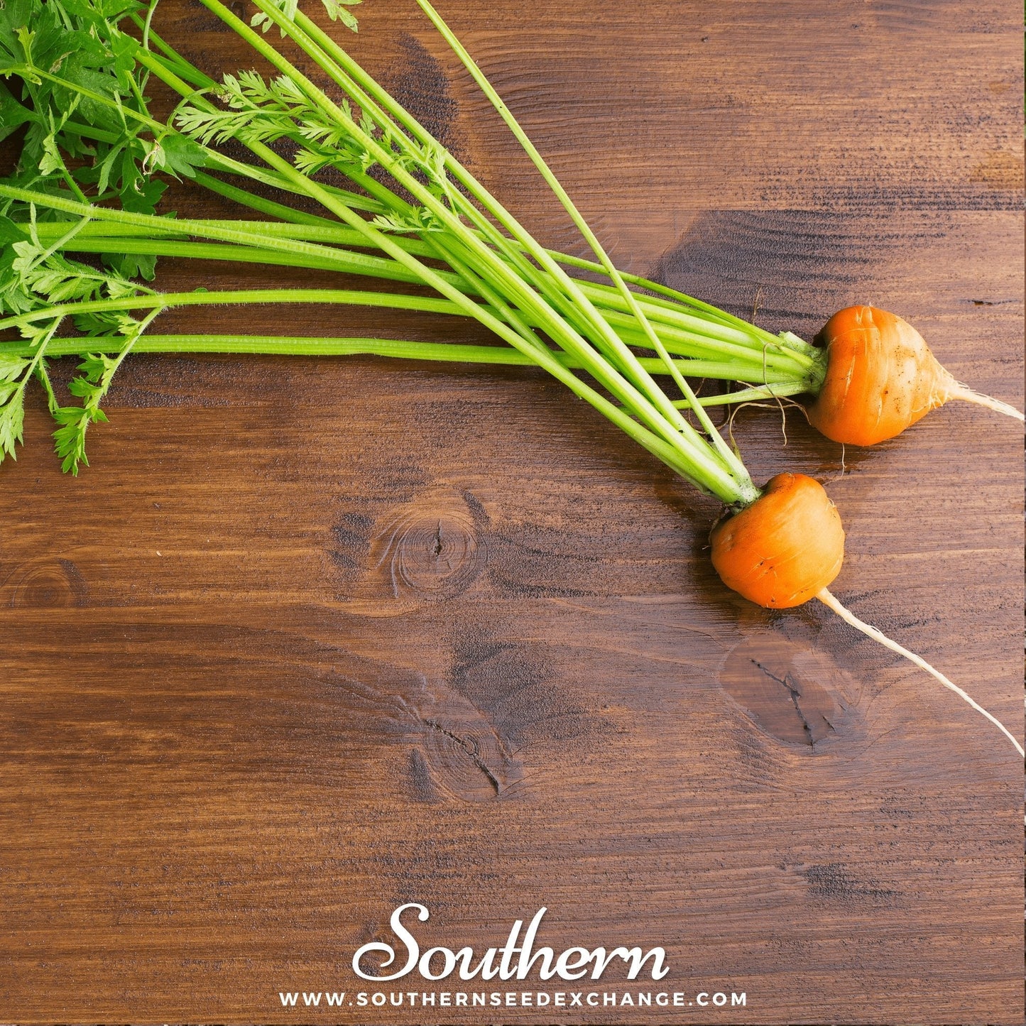 Three small carrots with green tops on a wooden surface, branded 'Southern Seed Exchange'.