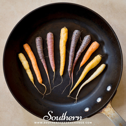 Multicolored carrots on a black frying pan with 'Southern' branding.