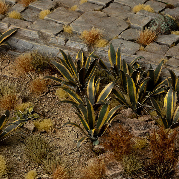 Desert landscape with cacti and succulents on a rocky surface