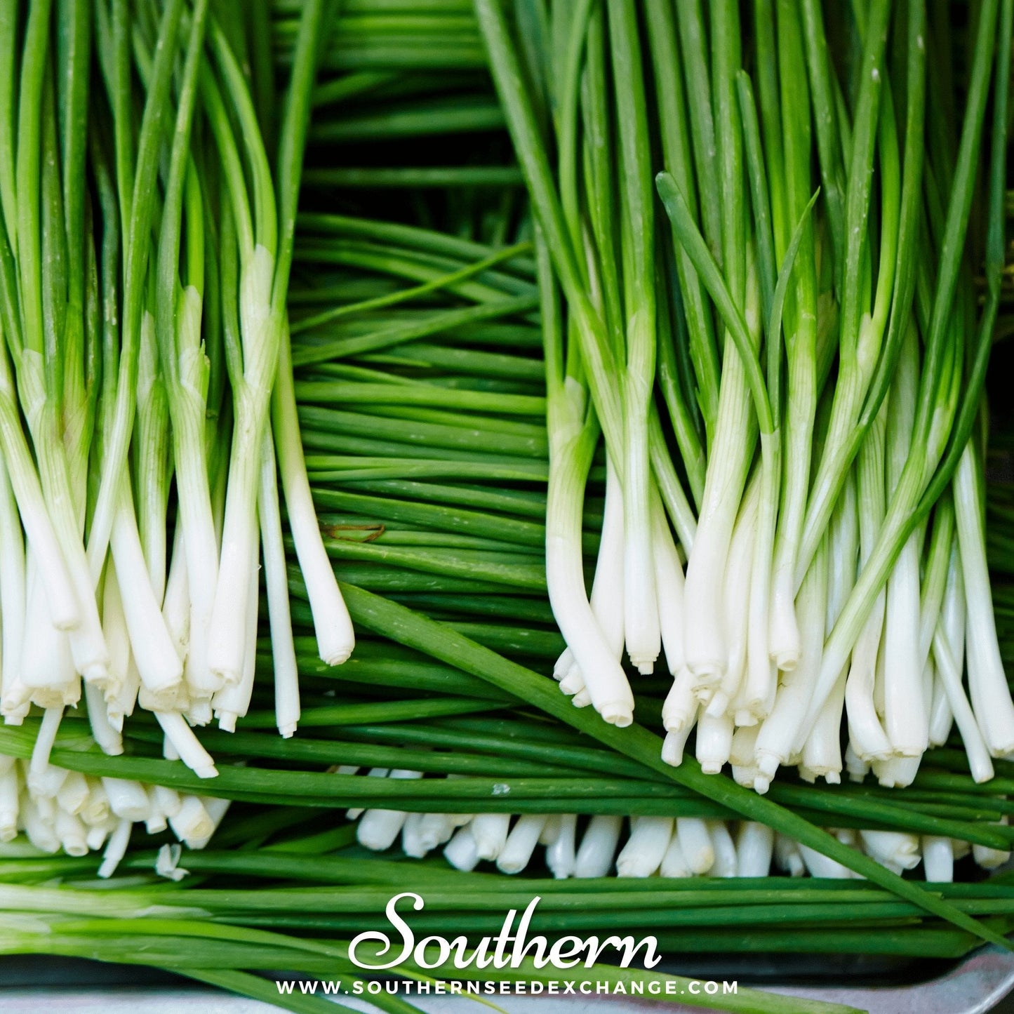 Close-up of green onions with 'Southern' brand logo at the bottom.