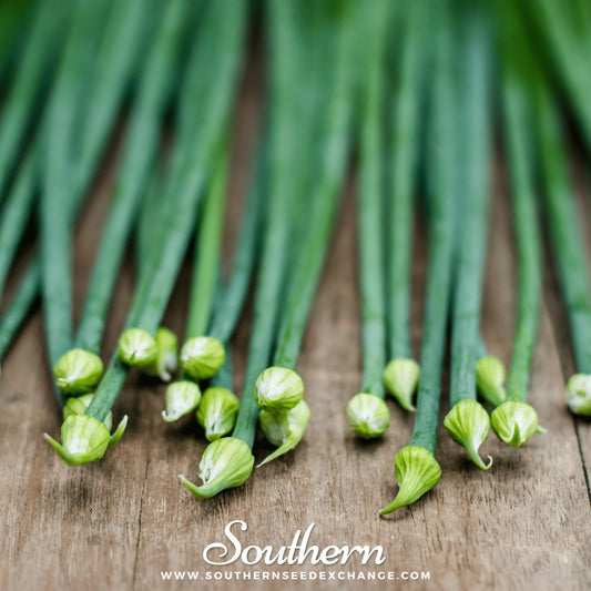 Garlic Chives on a wooden surface with 'Southern' branding.