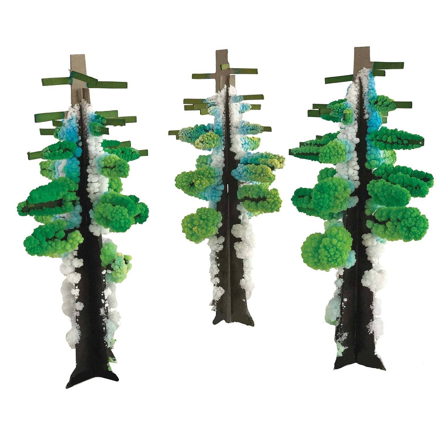 Three decorative trees with green and white foliage on a white background