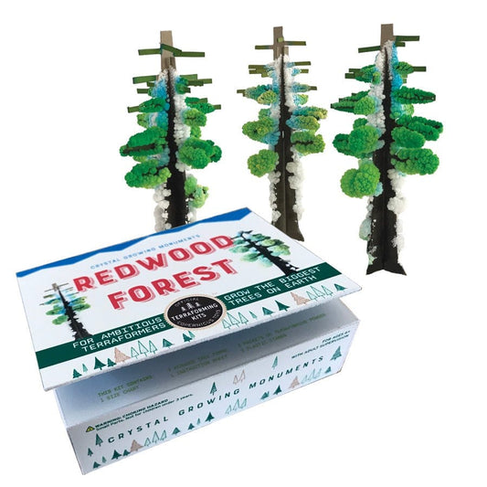 Redwood Forest crystal growing kit with trees and packaging on a white background