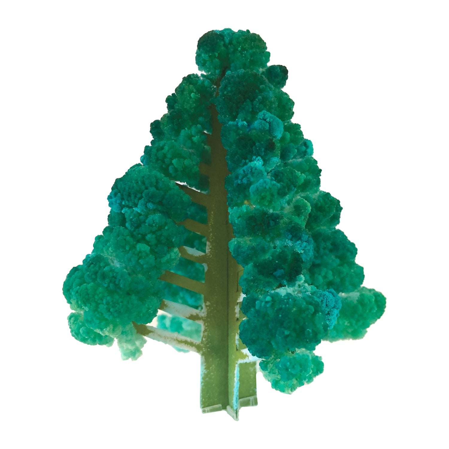 Model of a tree with green foliage on a white background