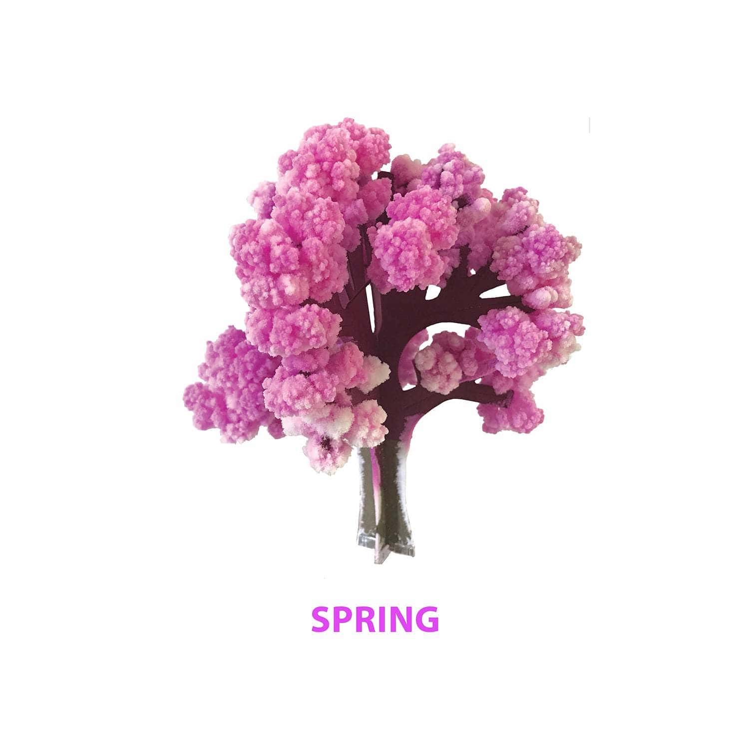 Model tree with pink blossoms on a white background with 'SPRING' text.