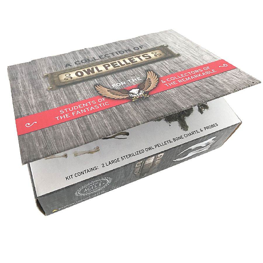 Cabinet of Owl Pellets | Copernicus Toys | Real owl pellets | Facts and instructions included…