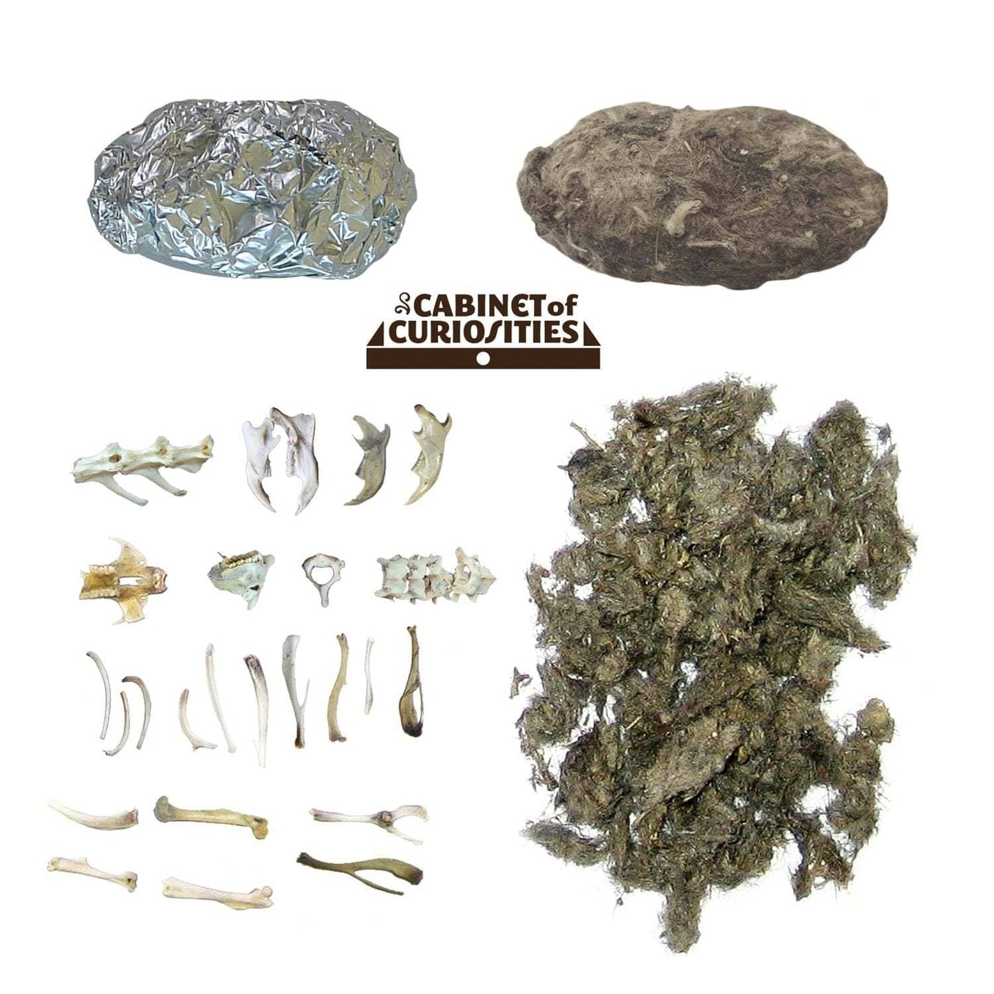 Cabinet of Owl Pellets | Copernicus Toys | Real owl pellets | Facts and instructions included…