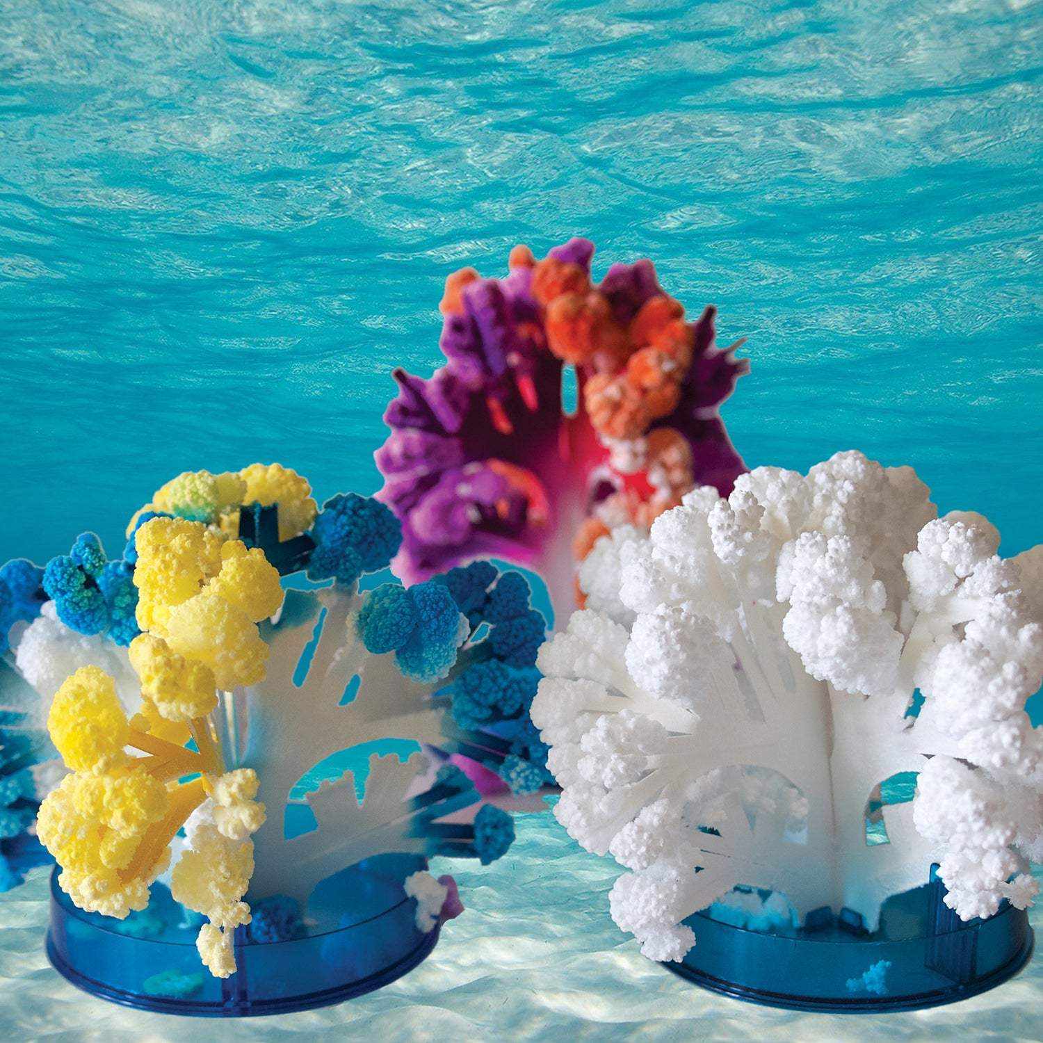 Colorful coral-like structures on blue stands against a blue water background