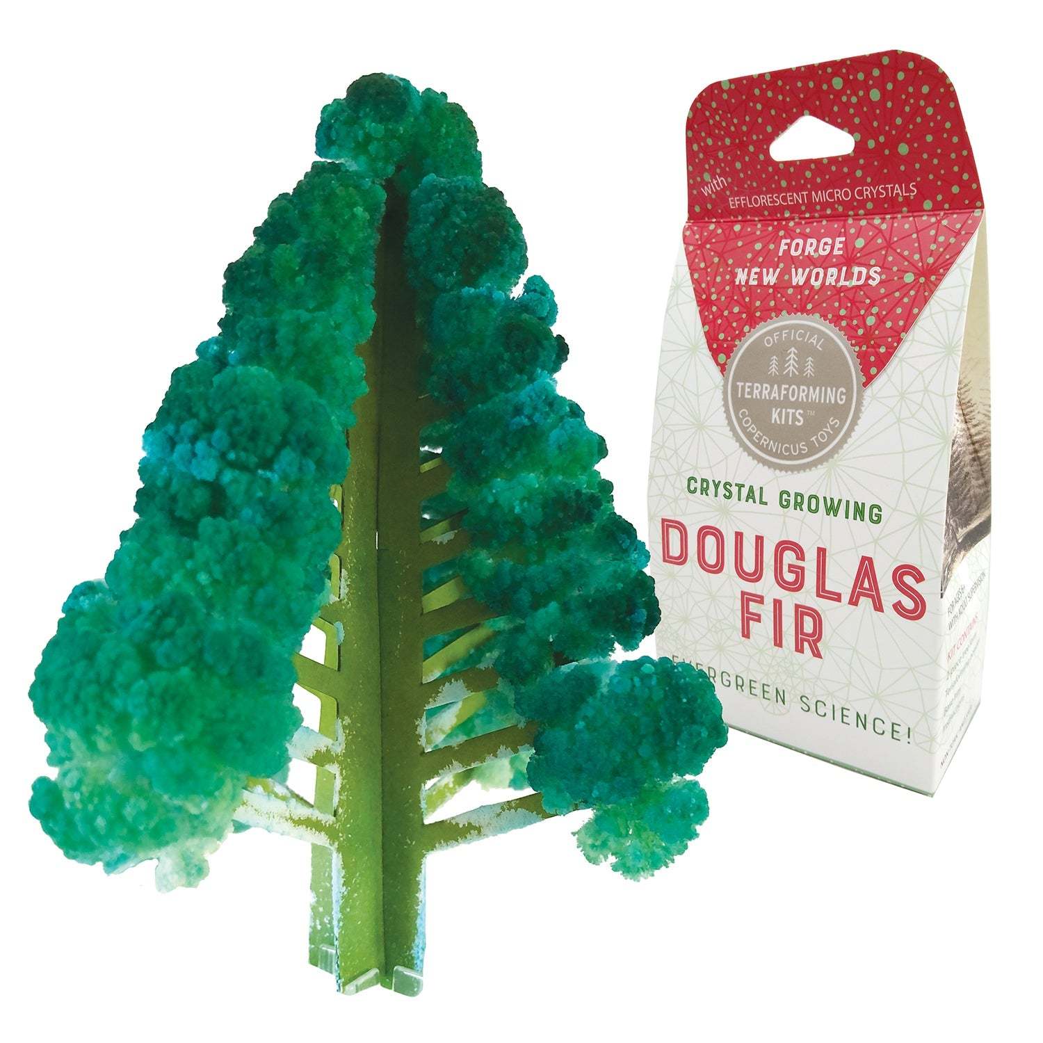Crystal growing kit Douglas Fir tree with packaging on a white background
