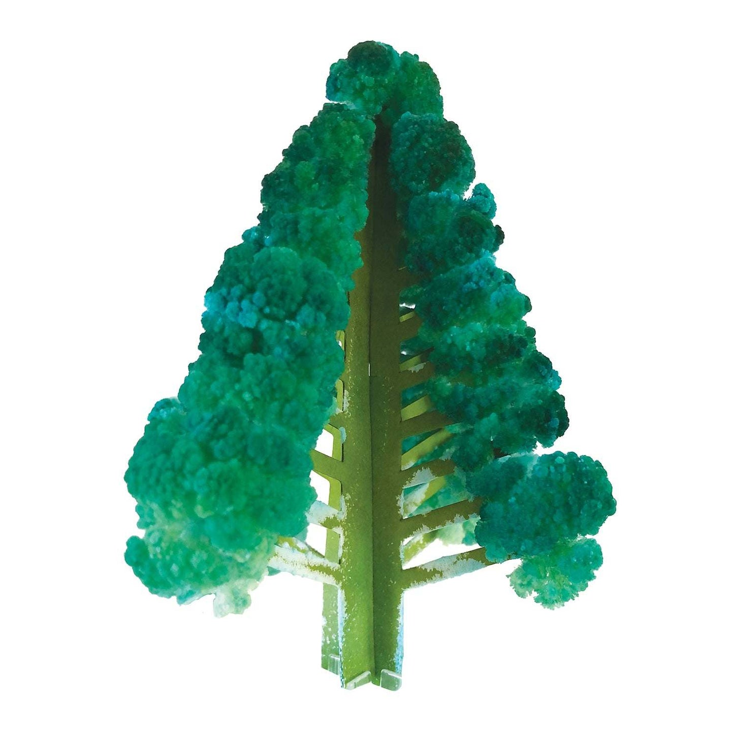 Model tree with green foliage on a white background