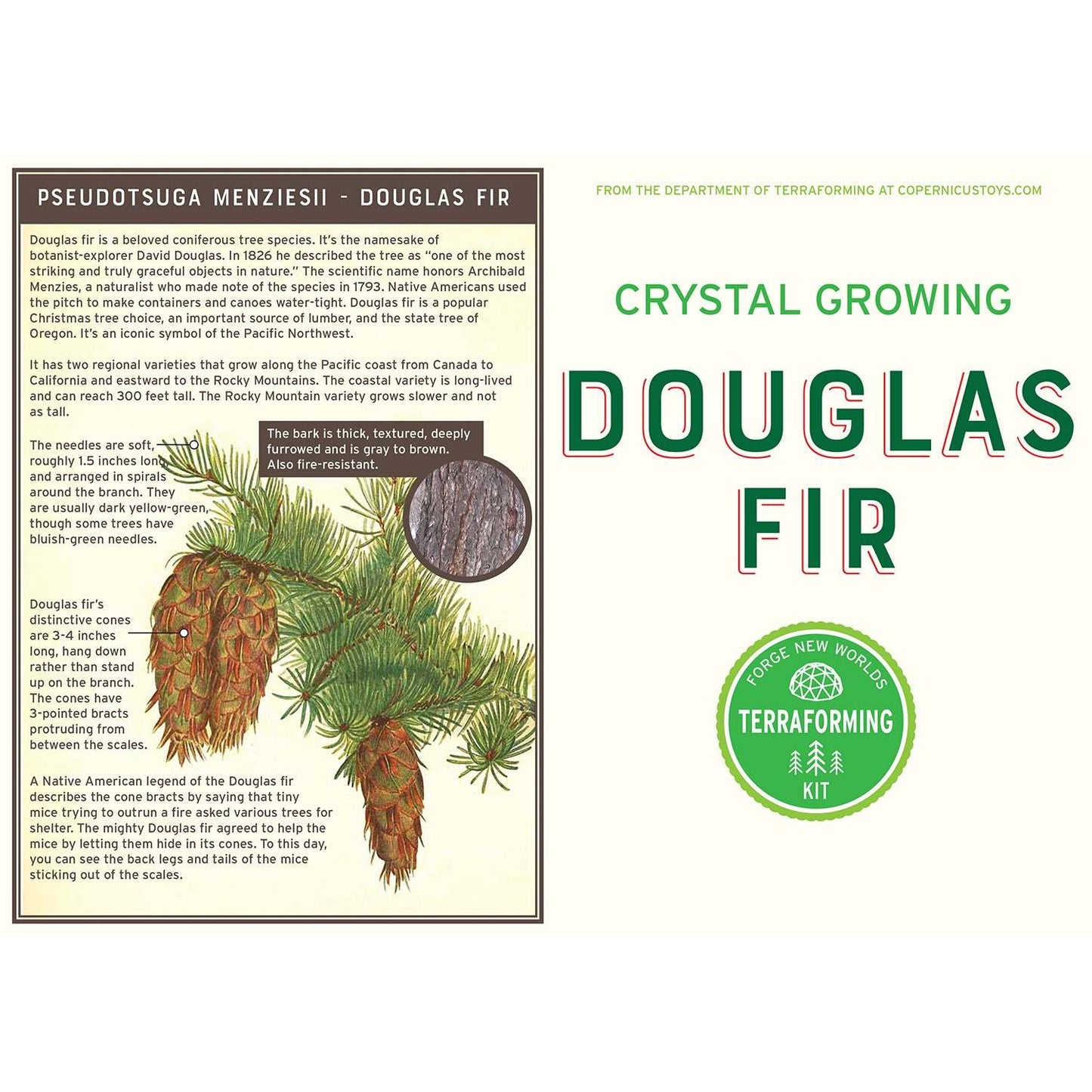 Terraforming kit packaging for Douglas Fir with botanical illustration and text.
