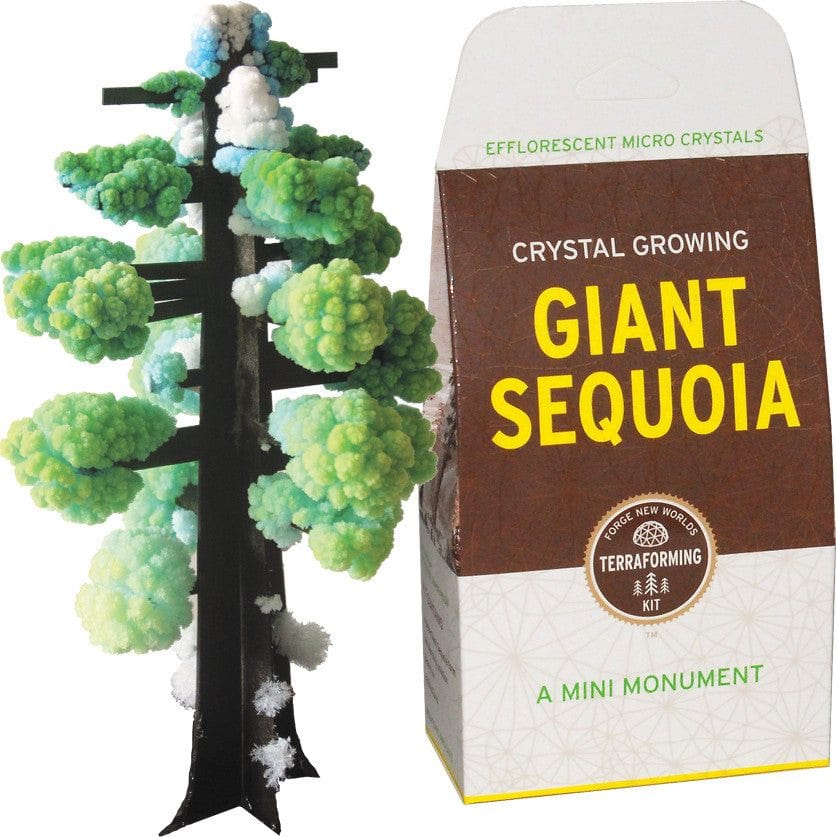 Crystal growing giant sequoia tree next to its packaging