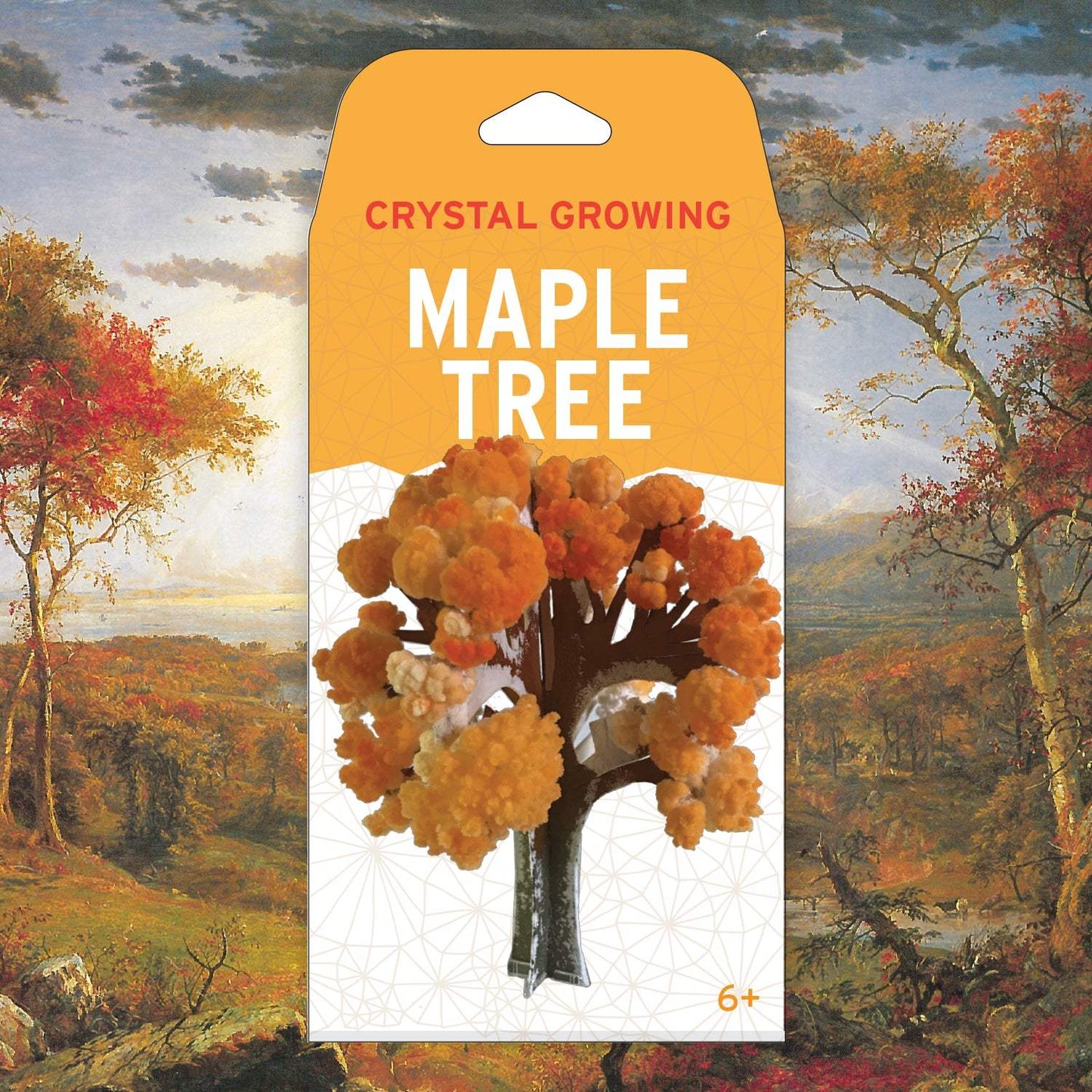Crystal growing maple tree kit packaging with a scenic background