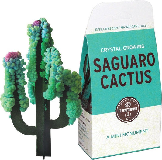 Crystal growing Saguaro Cactus with packaging on a white background