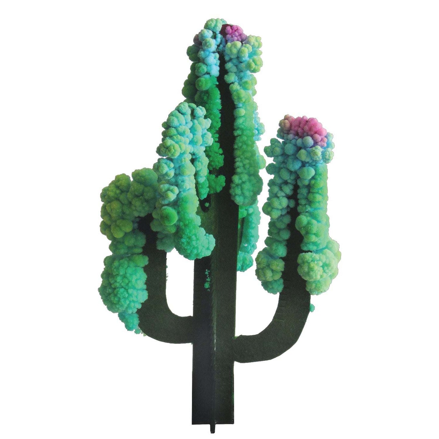 Decorative cactus with green and purple fuzzy top on a white background