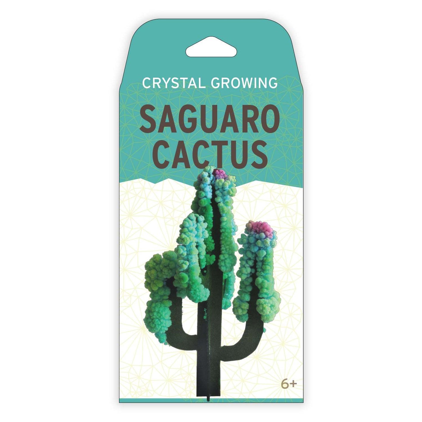 Crystal growing Saguaro Cactus packaging with a cactus illustration on a white background
