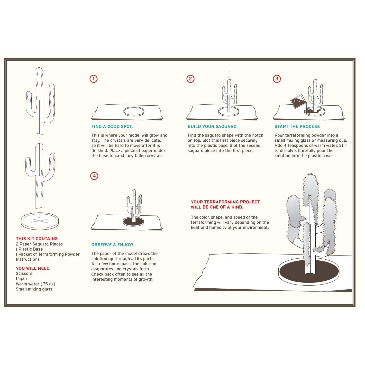 Instructions for a Crystal growing Saguaro Cactus with illustrations and text on a white background