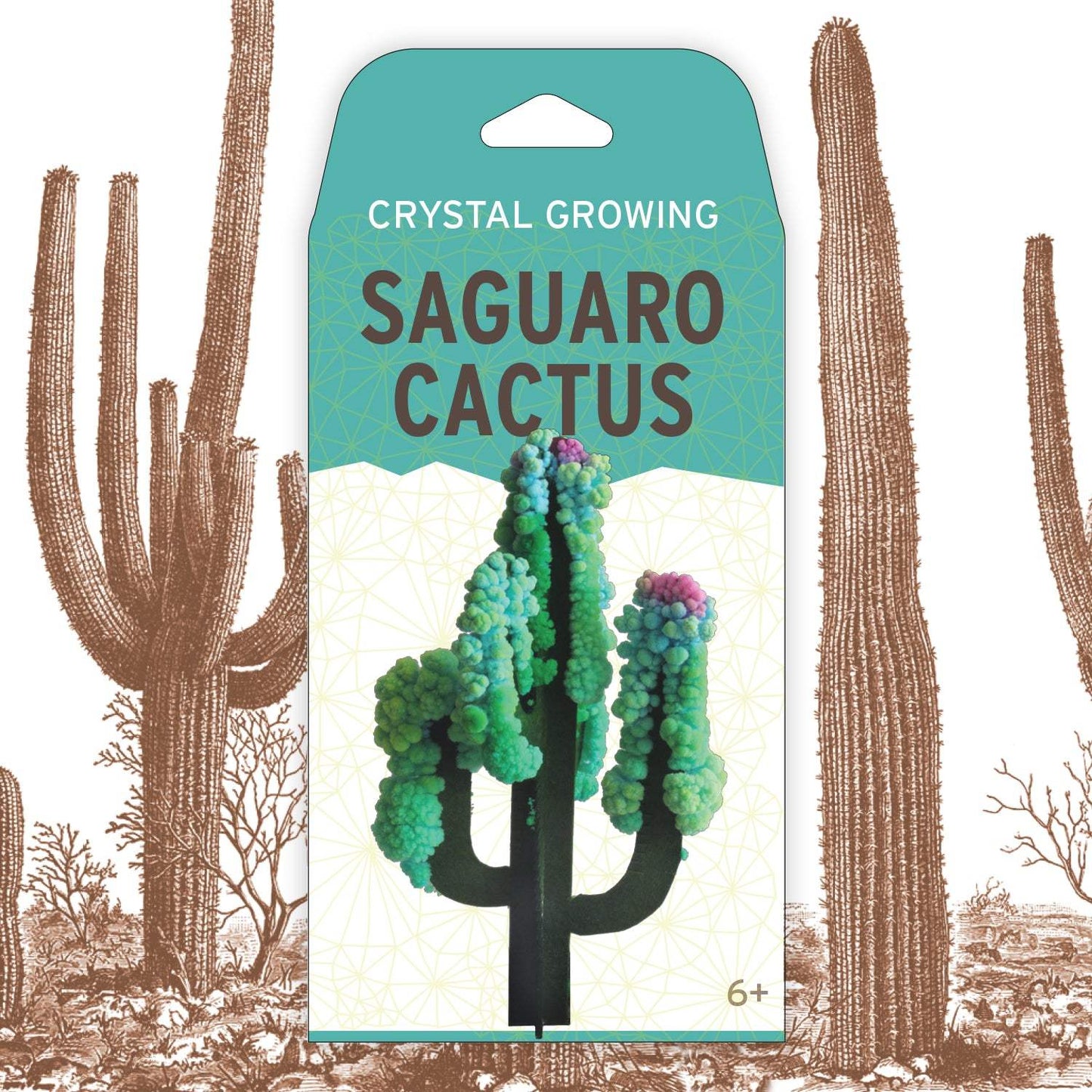 Crystal growing Saguaro Cactus kit packaging with cactus illustrations on a white background