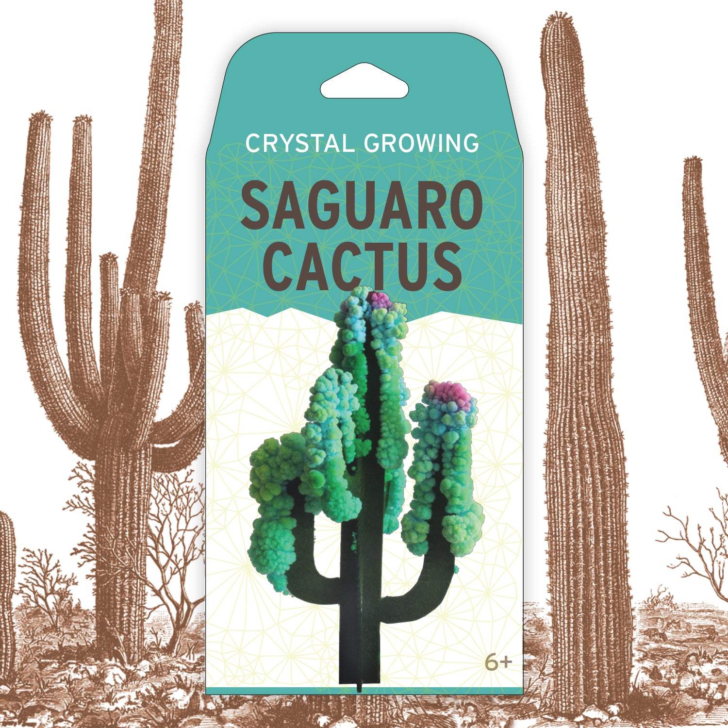 Crystal growing Saguaro Cactus kit packaging with cactus illustrations on a white background