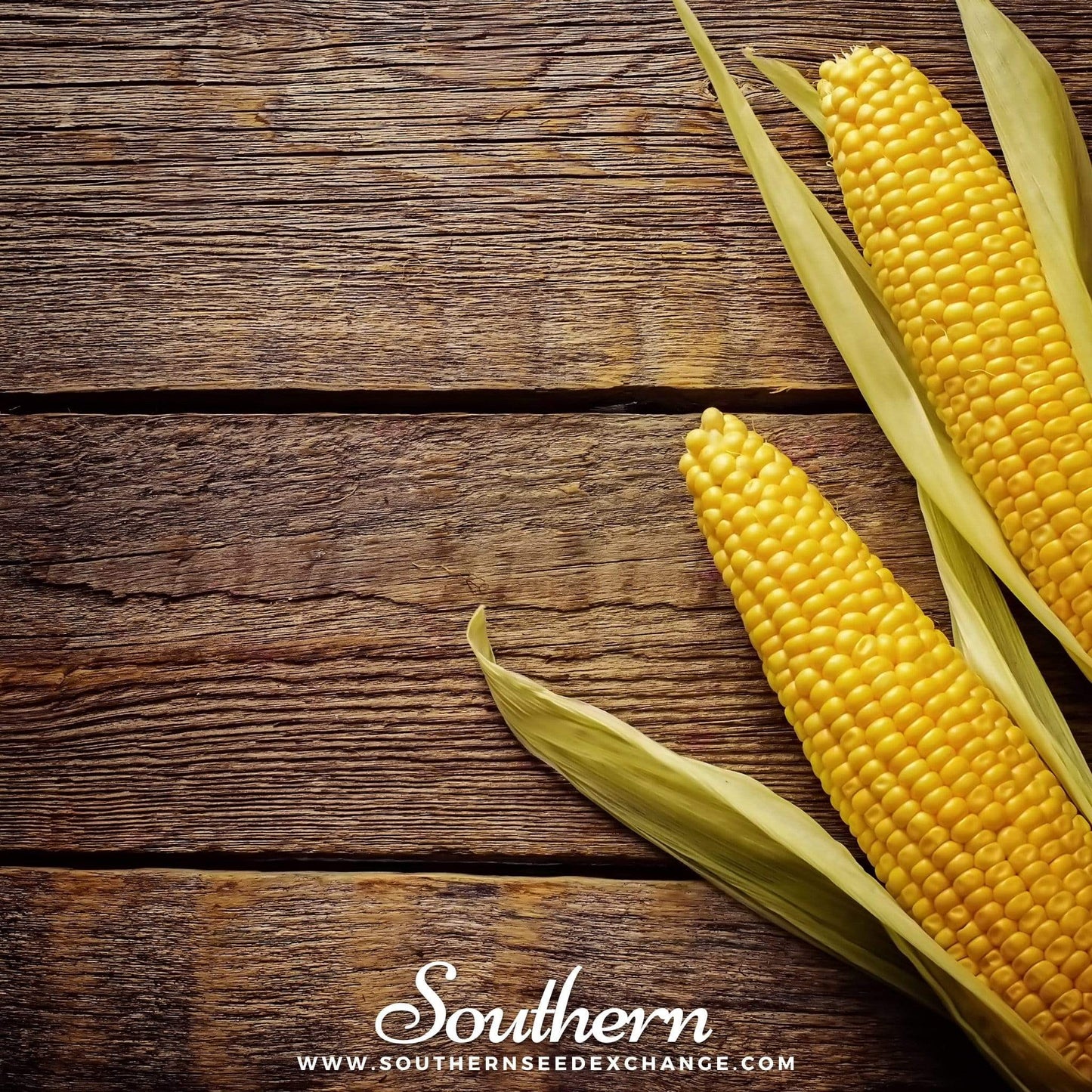 Two ears of yellow corn on a wooden surface with 'Southern' branding.