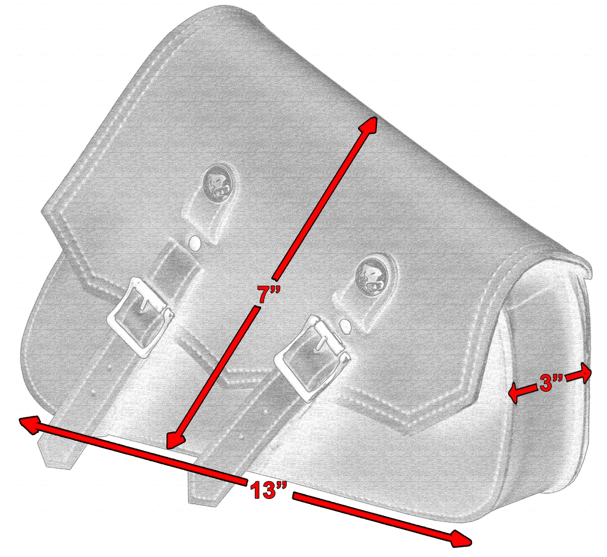 Xray View DS  Swing Arm Bag