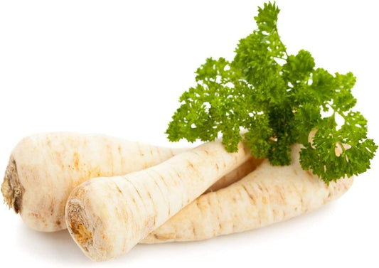 Two parsnips with green tops on a white background