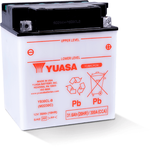 Yuasa YB30CL-B Yumicron CX 12-Volt Battery