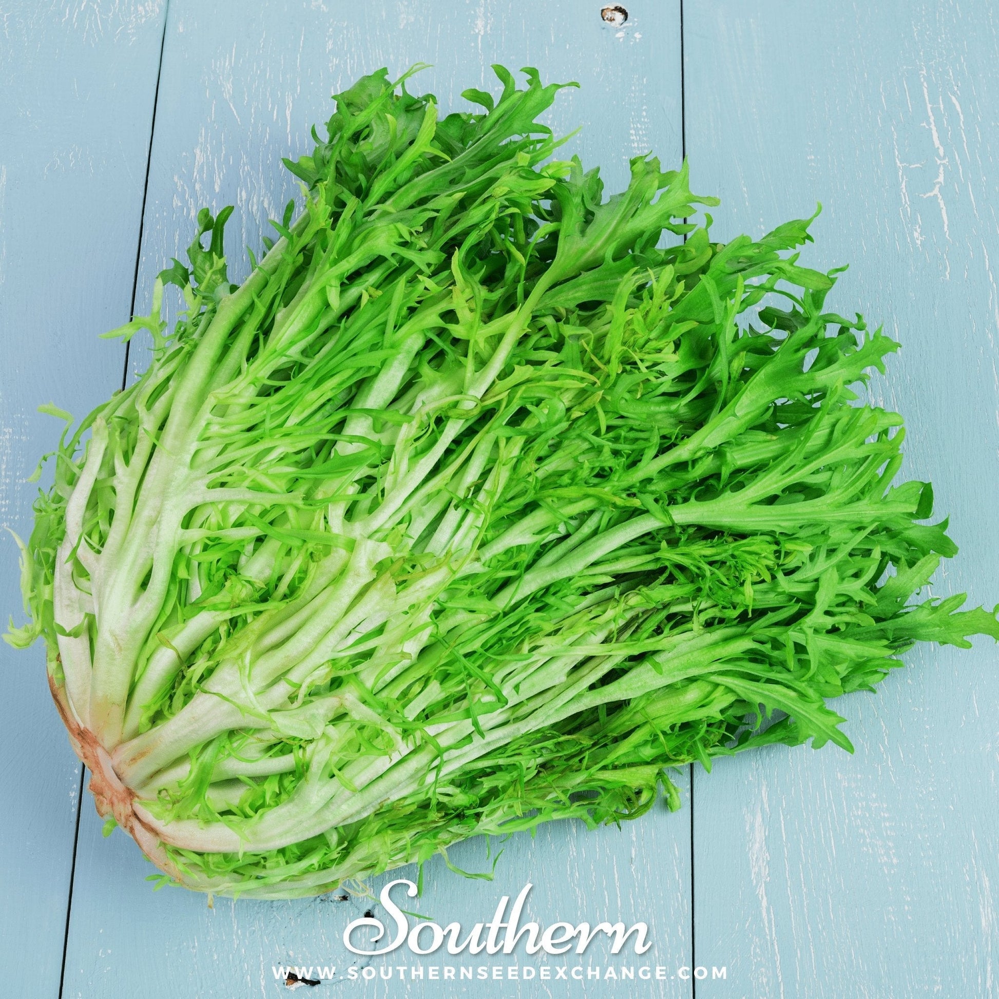 Green leafy endive leaves on a light blue wooden surface with 'Southern' branding.