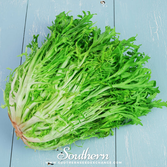 Green leafy endive leaves on a light blue wooden surface with 'Southern' branding.