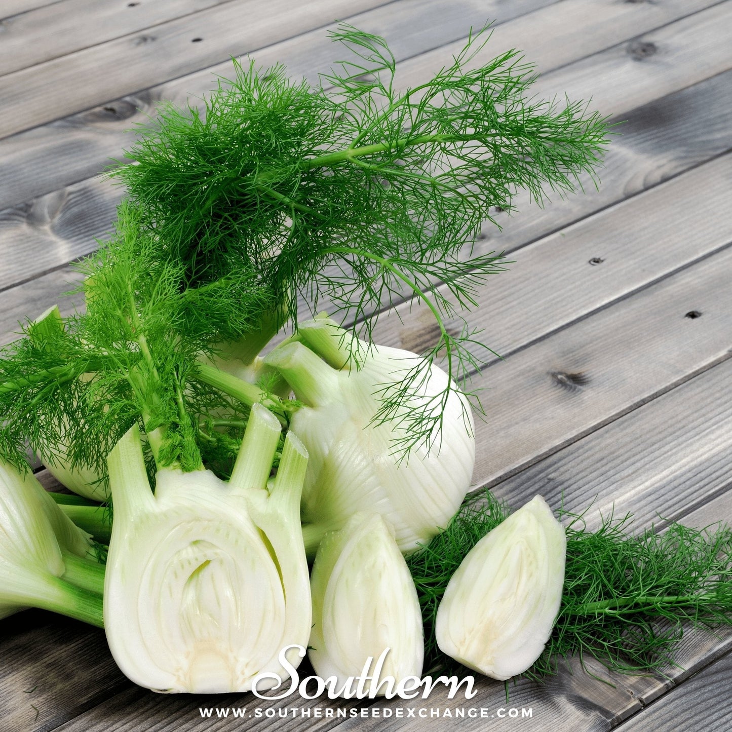Fresh fennel bulbs with fronds on a wooden surface, branded 'Southern Seed Exchange'.