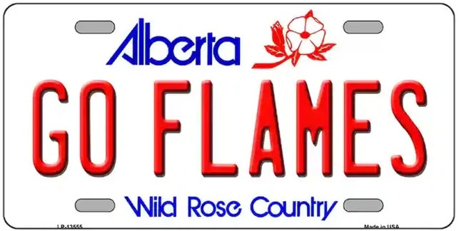 Go Flames Fan Novelty Metal License Plate Tag