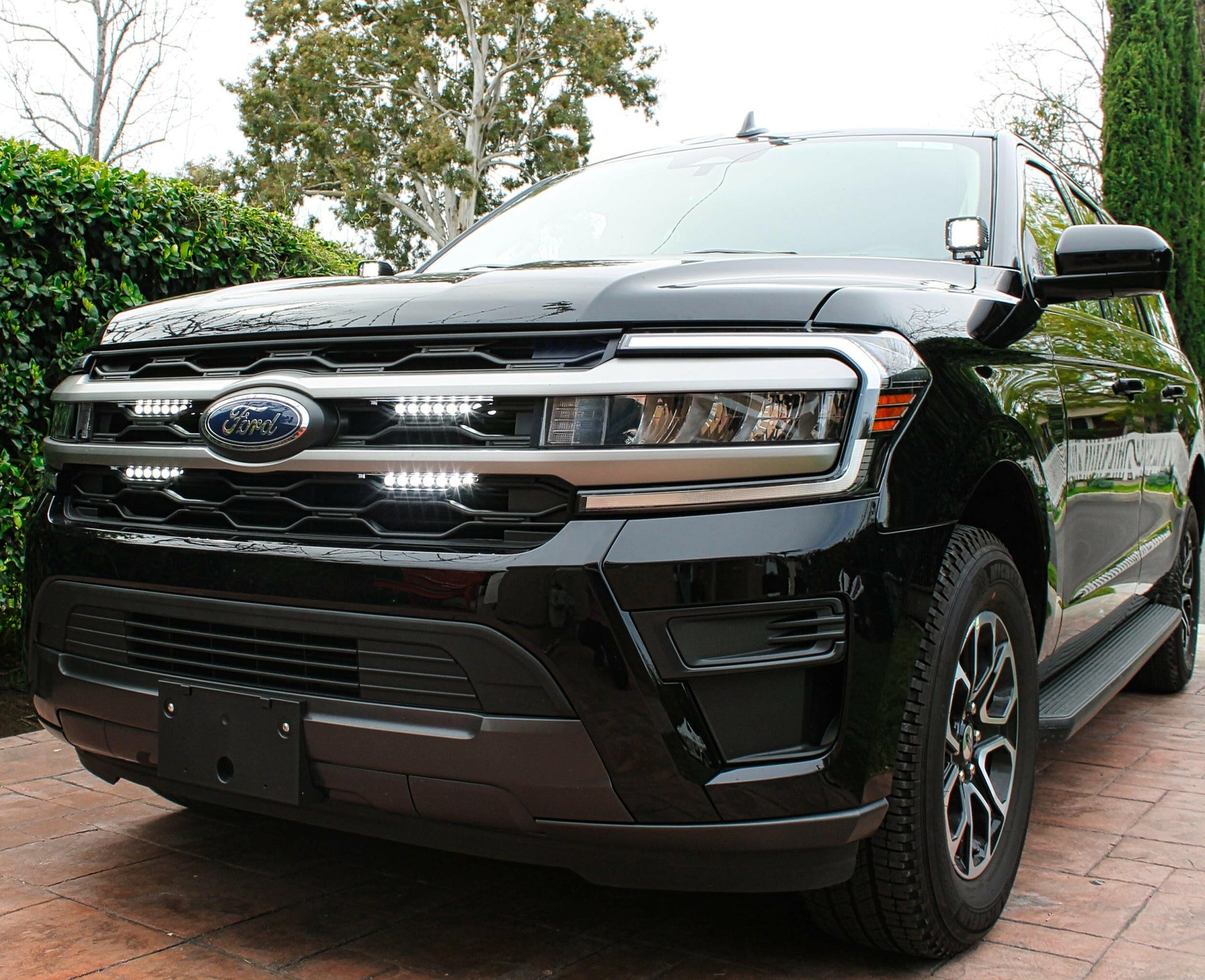 Black Ford SUV parked on a driveway with greenery in the background