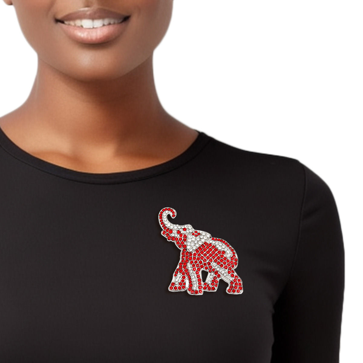 DST Sorority Silver and Red Full Elephant Brooch