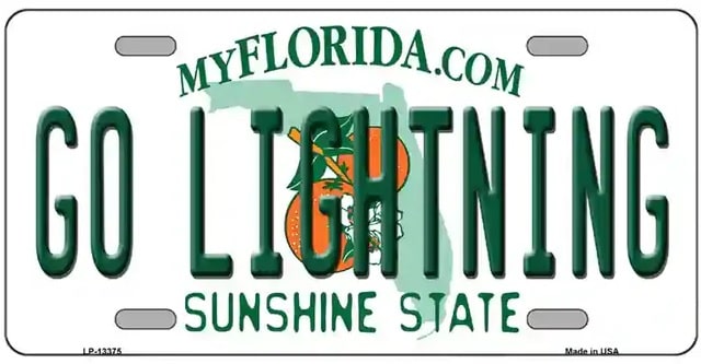 Go Lightning Novelty Florida Facade License Plate