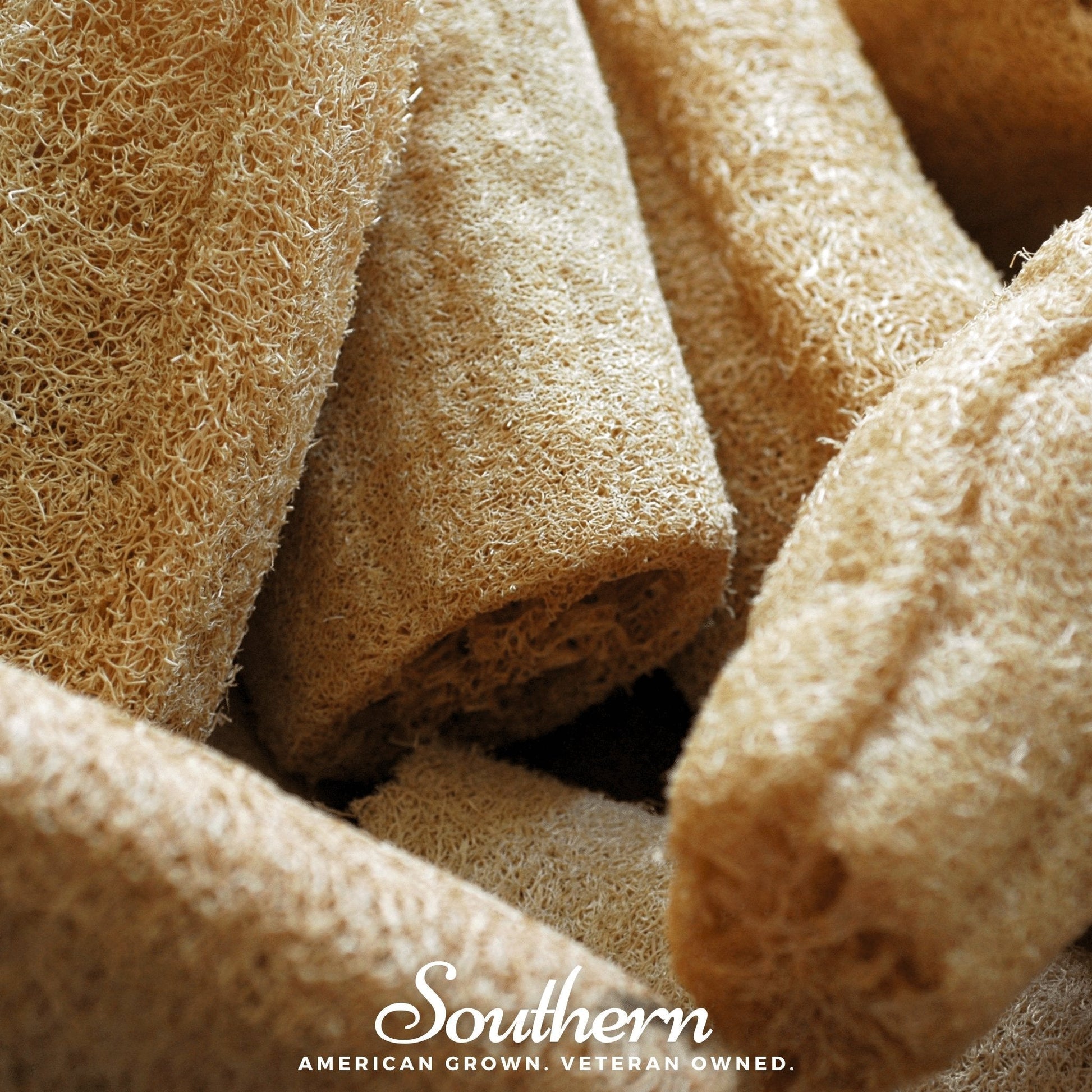 Close-up of dri luffa gourds with 'Southern' brand text.